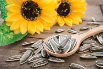 Small But Mighty – the Health Benefits of Seeds